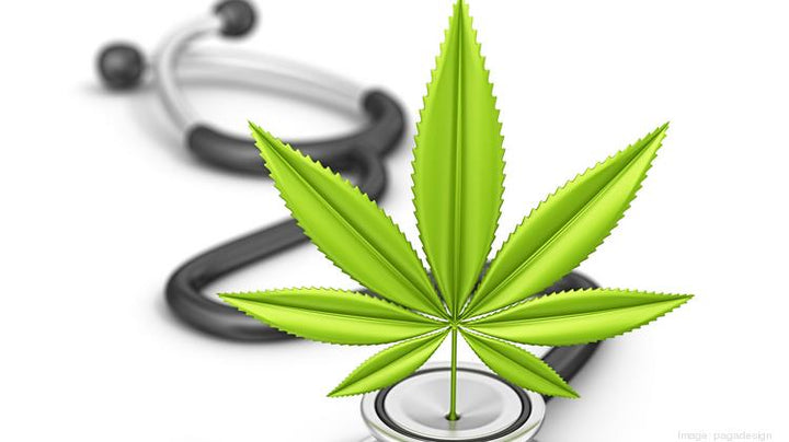 'Woefully ill-informed' cannabis scaremongering could cost NZ economy millions