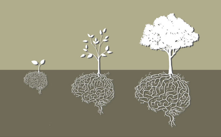 How psychedelic DMT promotes the production of new brain cells