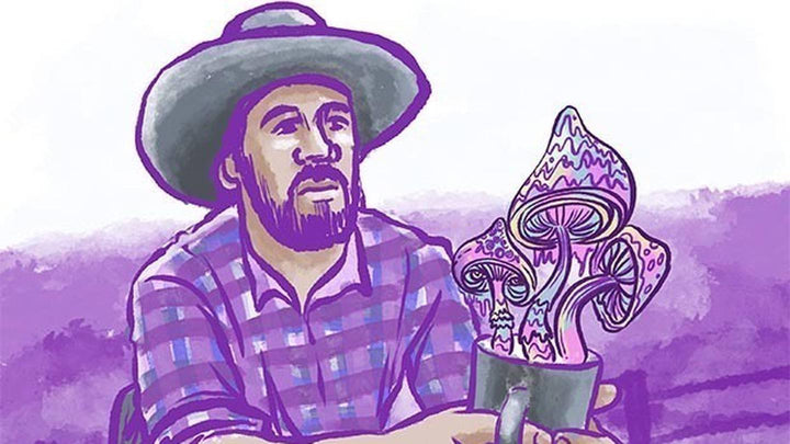 Inside New Zealand's magic mushroom community