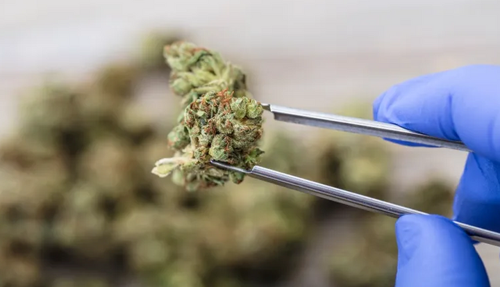 University of South Carolina Releases 3 Studies Showing THC May Effectively Treat COVID