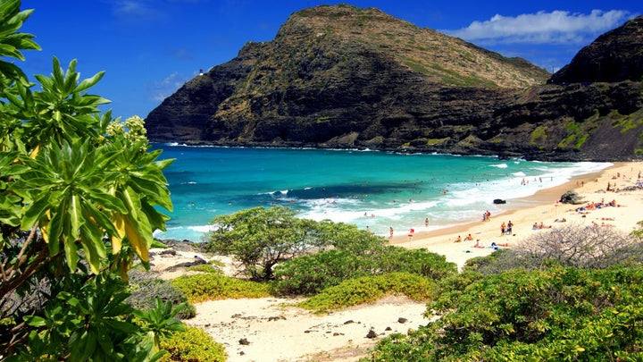 Hawaii 26th state to decriminalise possession of small amounts of marijuana